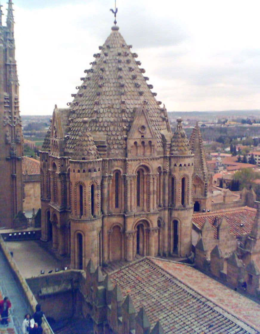 Place Catedral Vieja de Salamanca