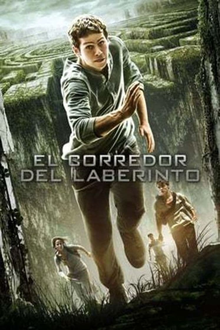 Película The Maze Runner