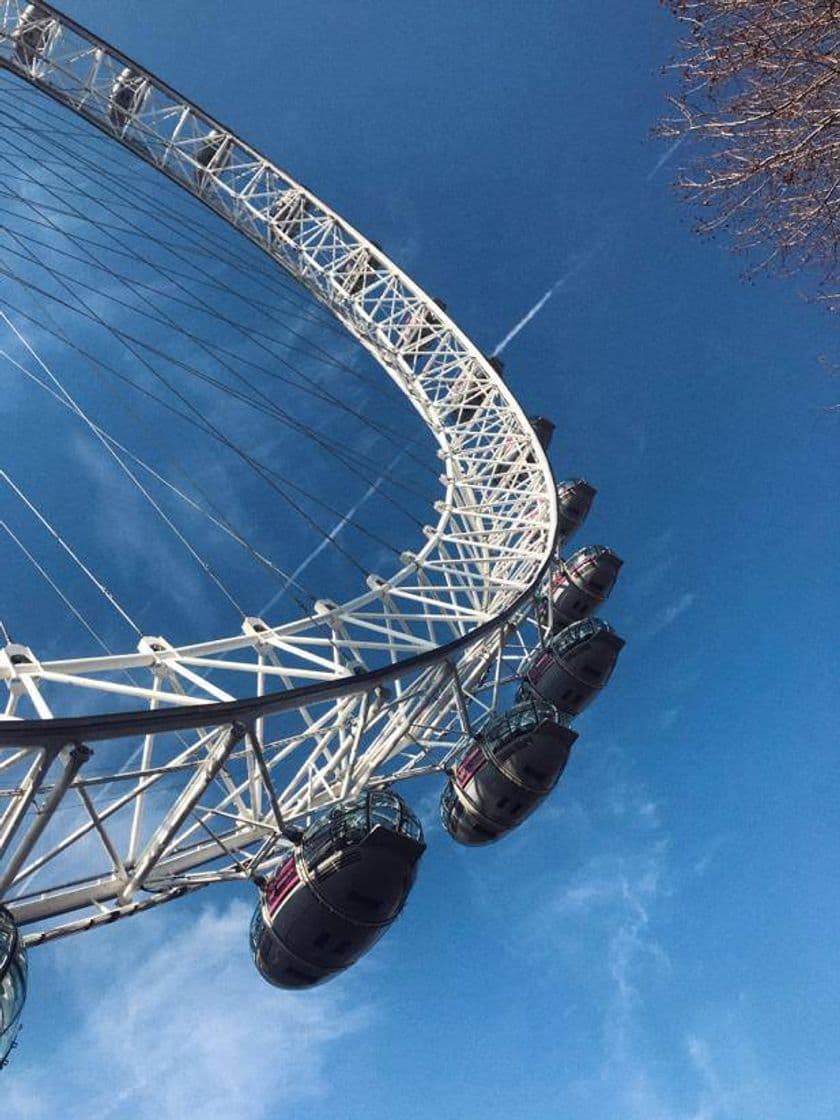 Place London Eye