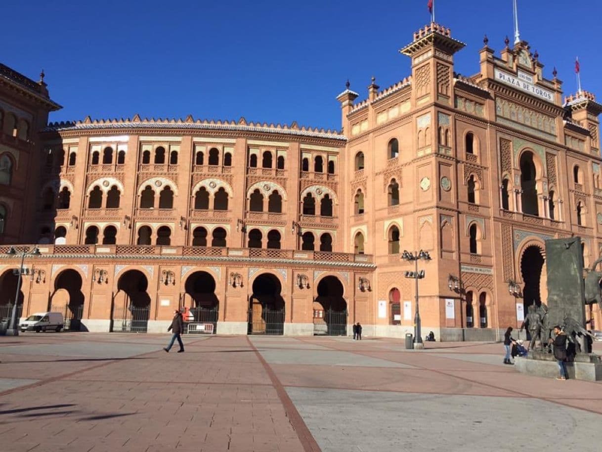 Place Museo Taurino