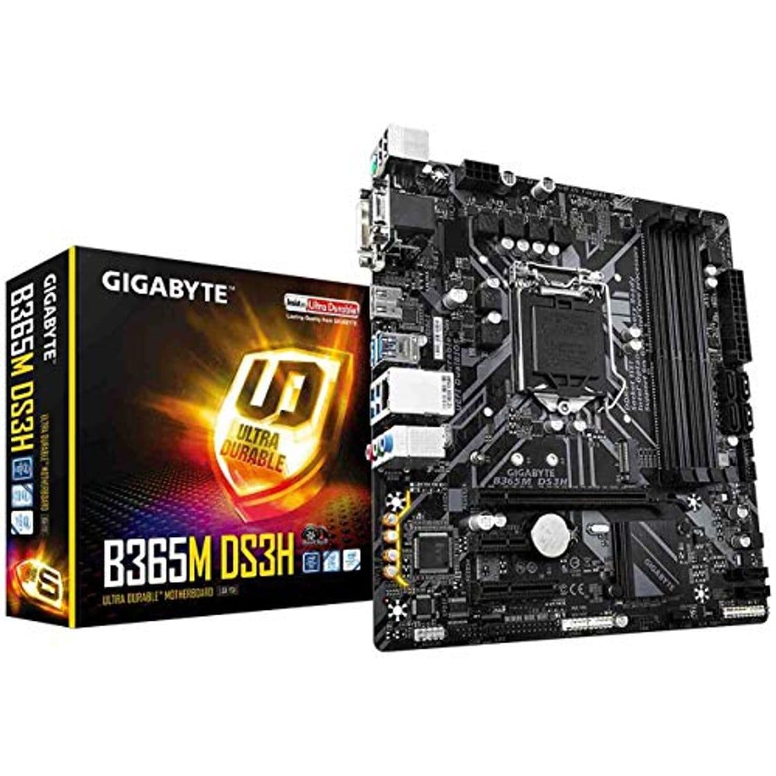 Producto Gigabyte B365M-DS3H