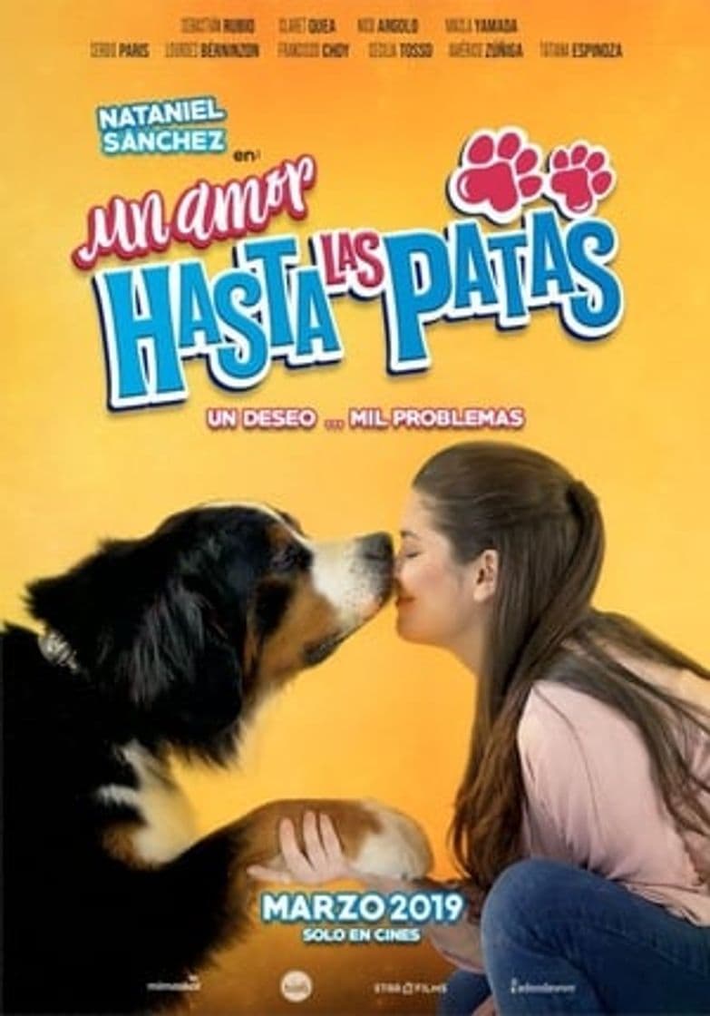 Película Un amor hasta las patas