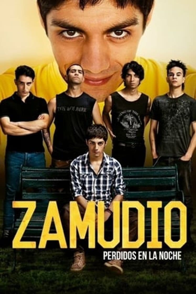 Serie Zamudio