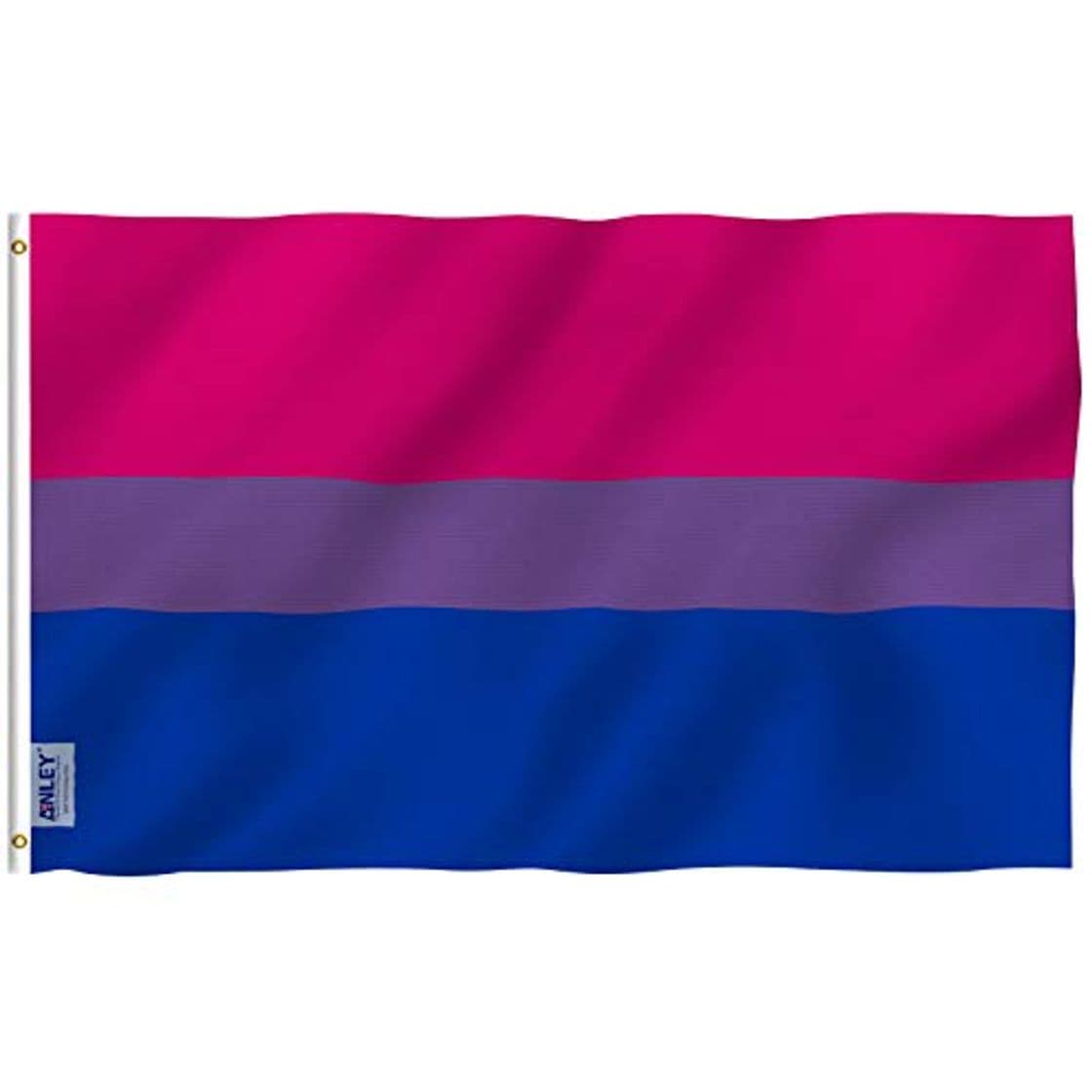 Product Anley Fly Breeze 90 x 150 cm Bandera Orgullo Bi