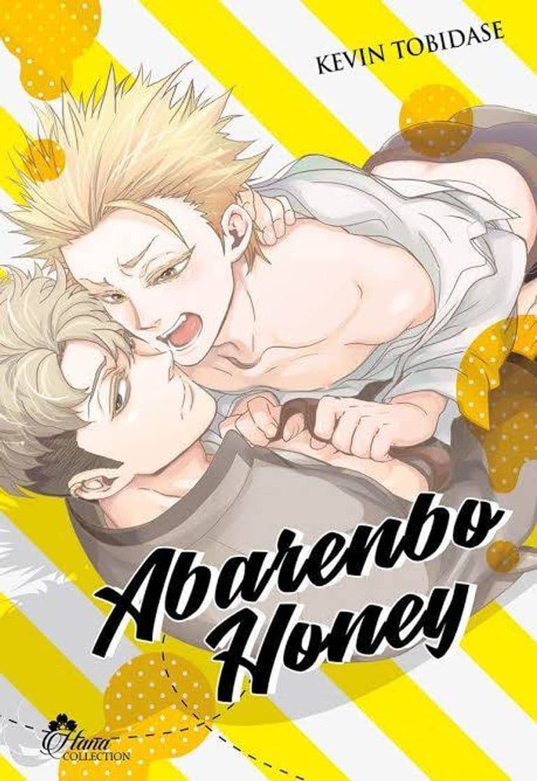 Libro Abarenbo honey MANGA Shoujo