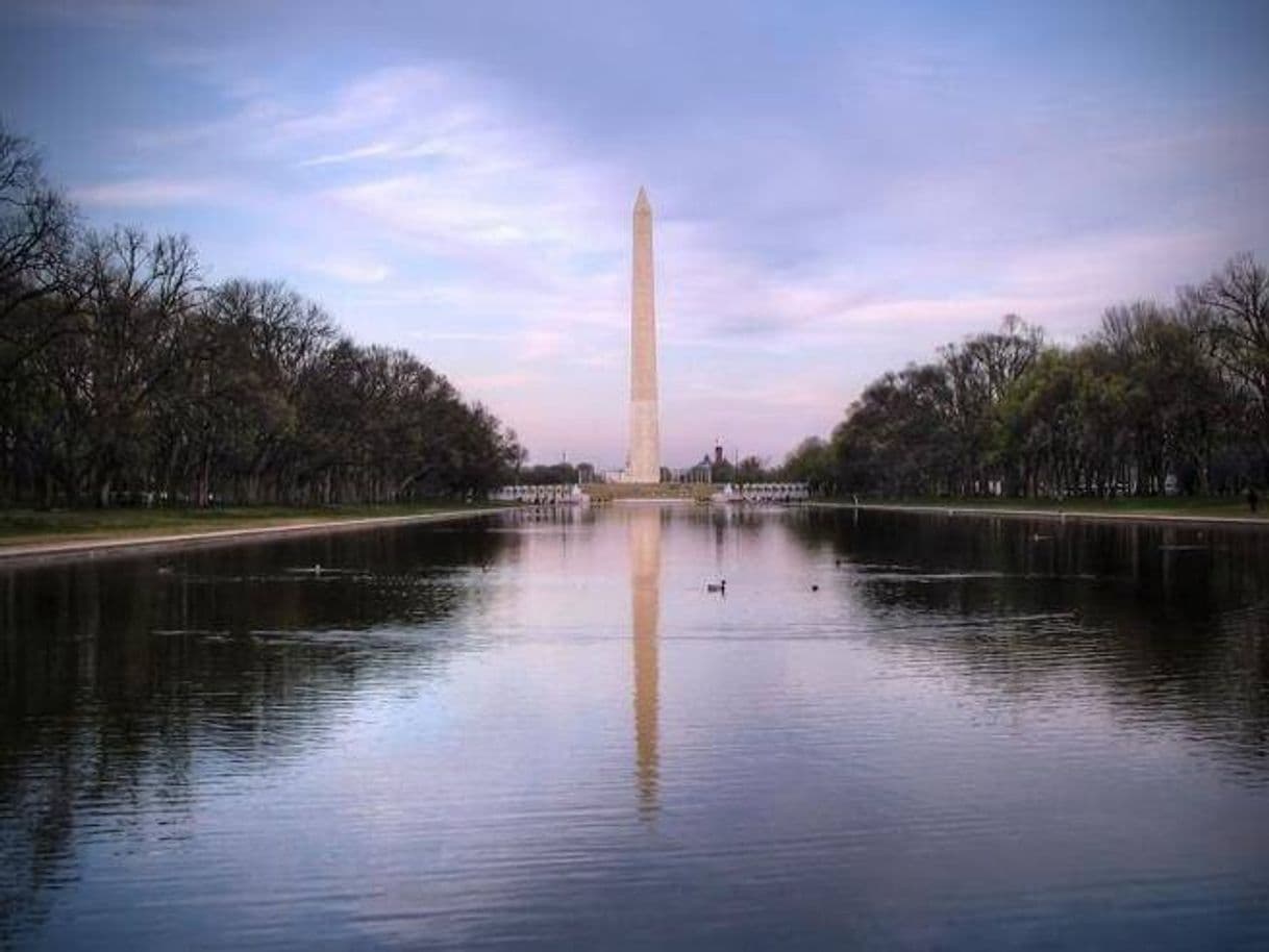 Fashion Piscina reflectante del monumento a Lincoln, Washington DC 