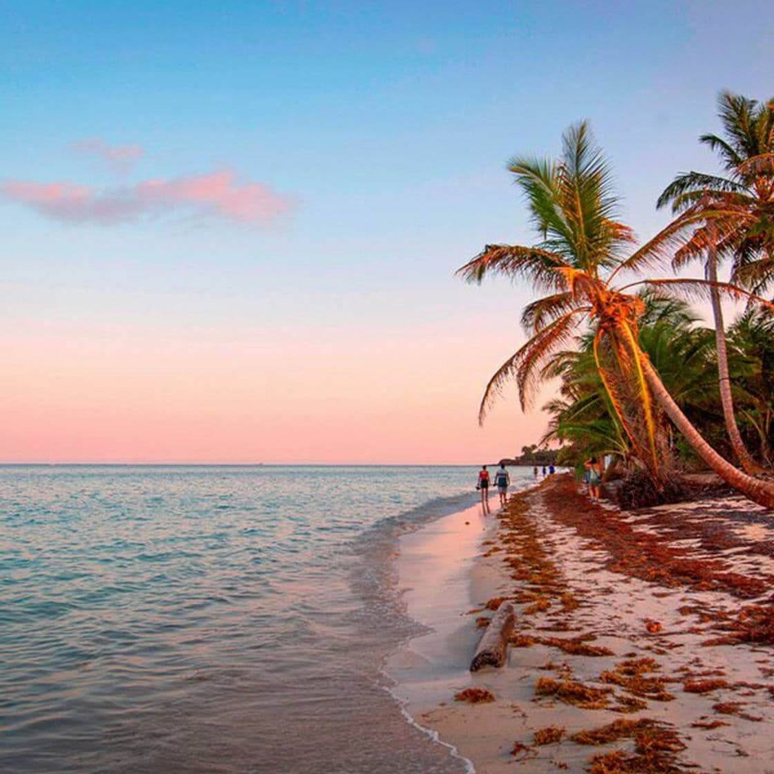 Lugar Corn Island