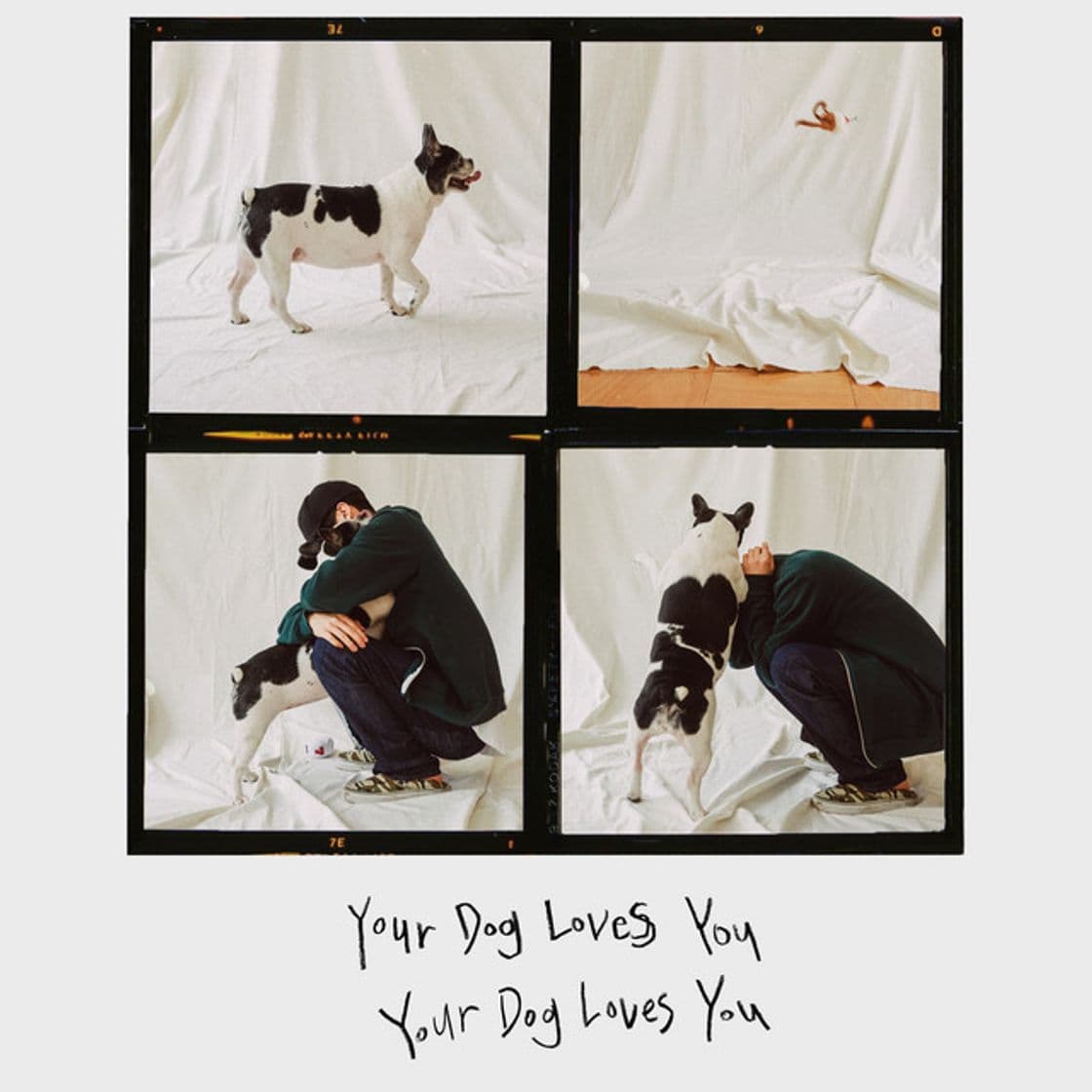 Canción Your Dog Loves You (feat. Crush)