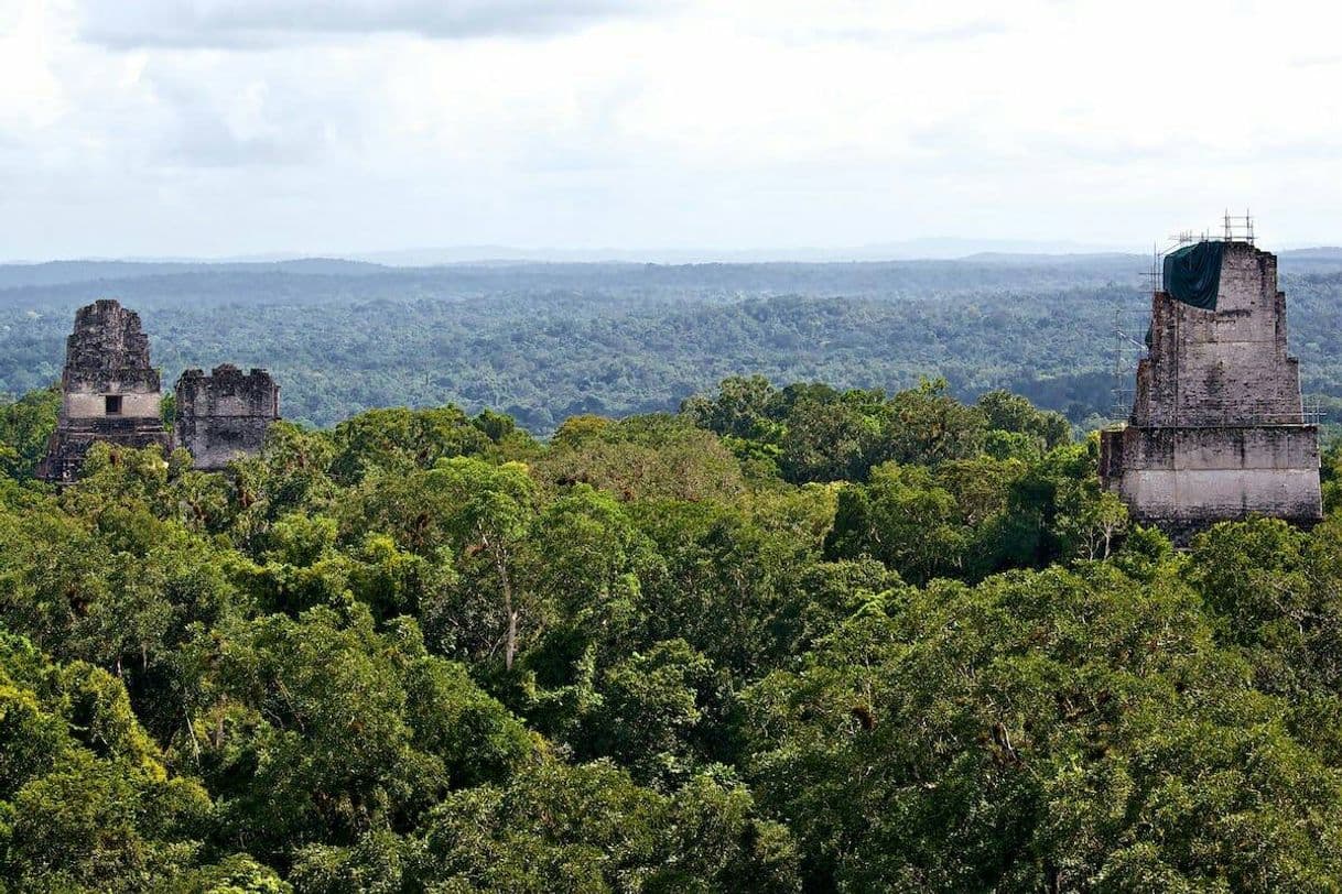 Place Tikal