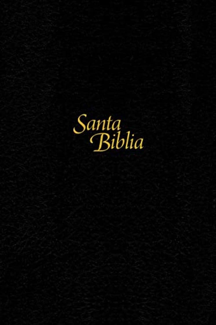 Book Santa Biblia: Ntv, Edición Personal, Letra Grande Letra Roja, Tapa Dura De Sentipiel, Negro