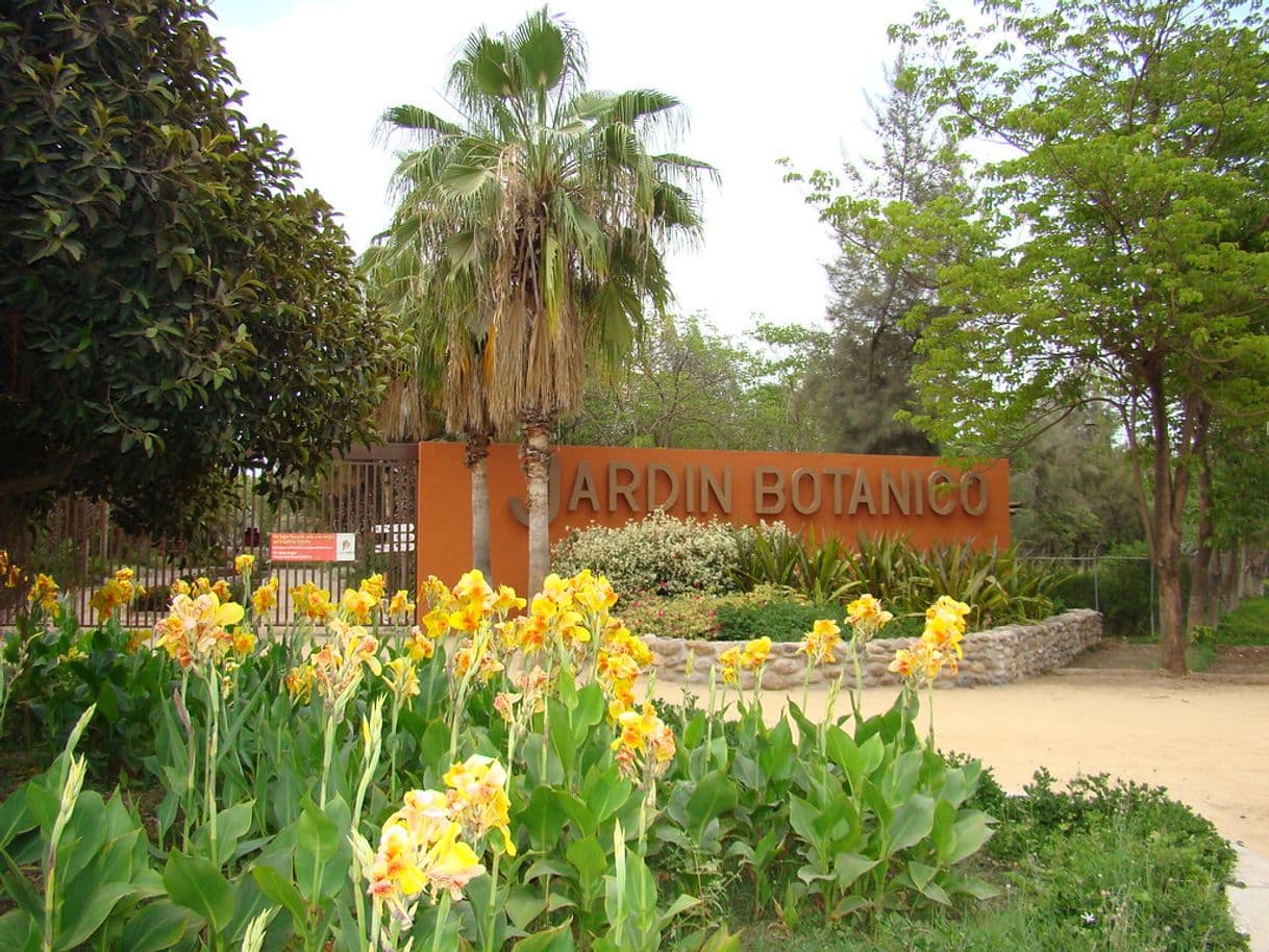 Place Jardín Botánico Culiacán