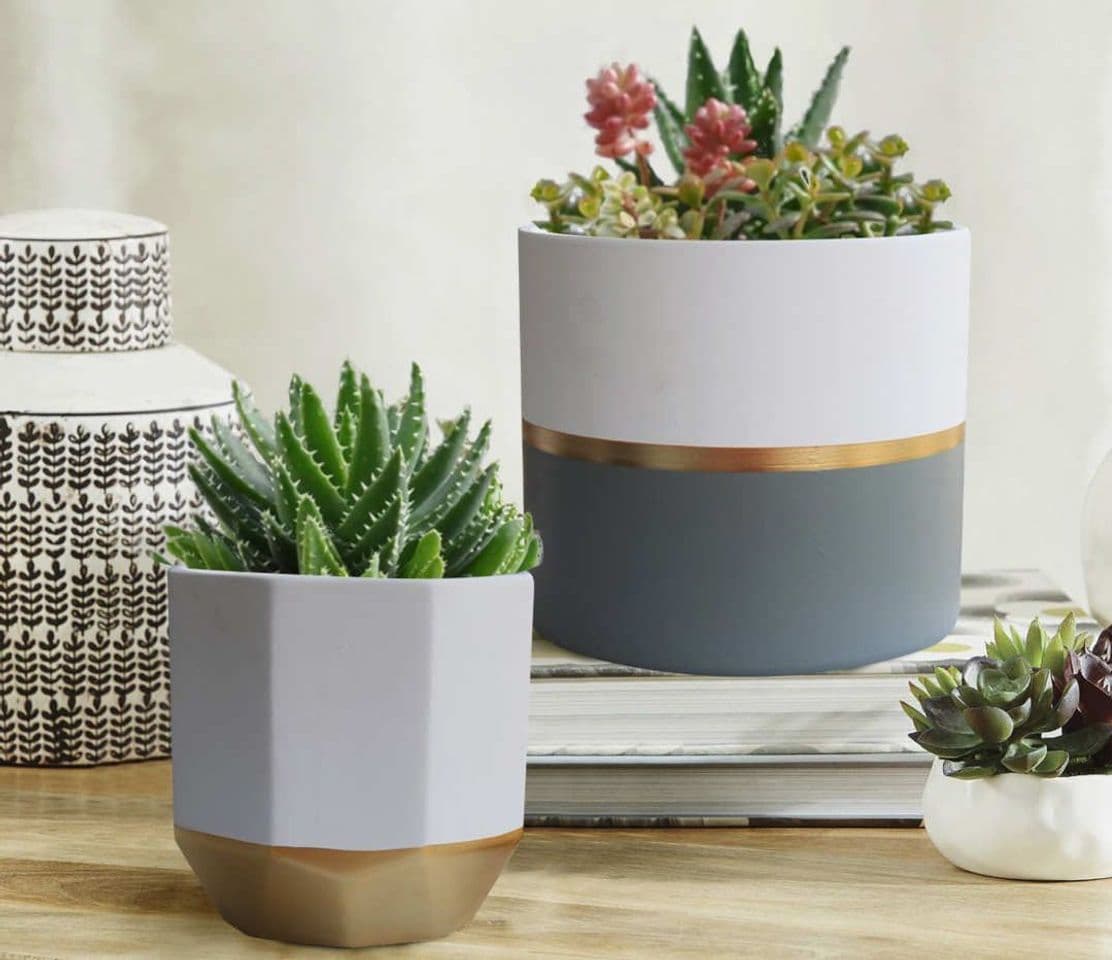 Producto Plant containers with gold and grey detailing