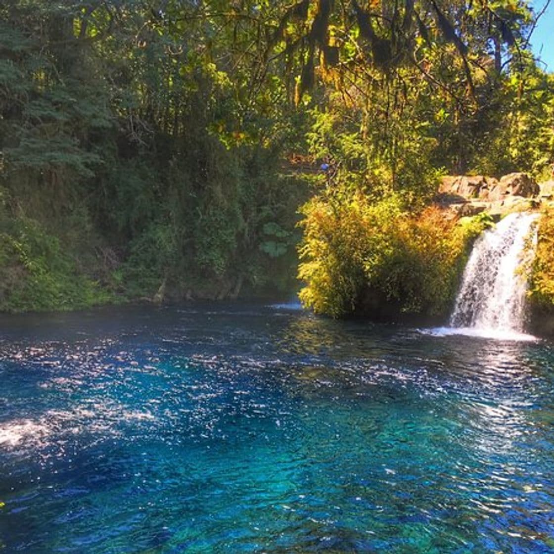 Lugar Los Ojos del Caburgua y su laguna azul