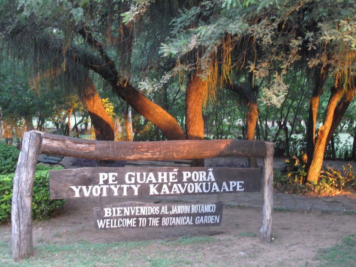 Lugar Jardìn Botanico