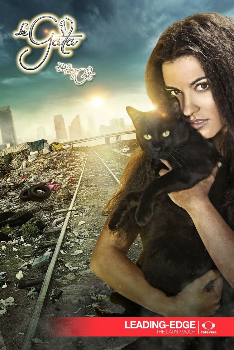 Serie The Stray Cat