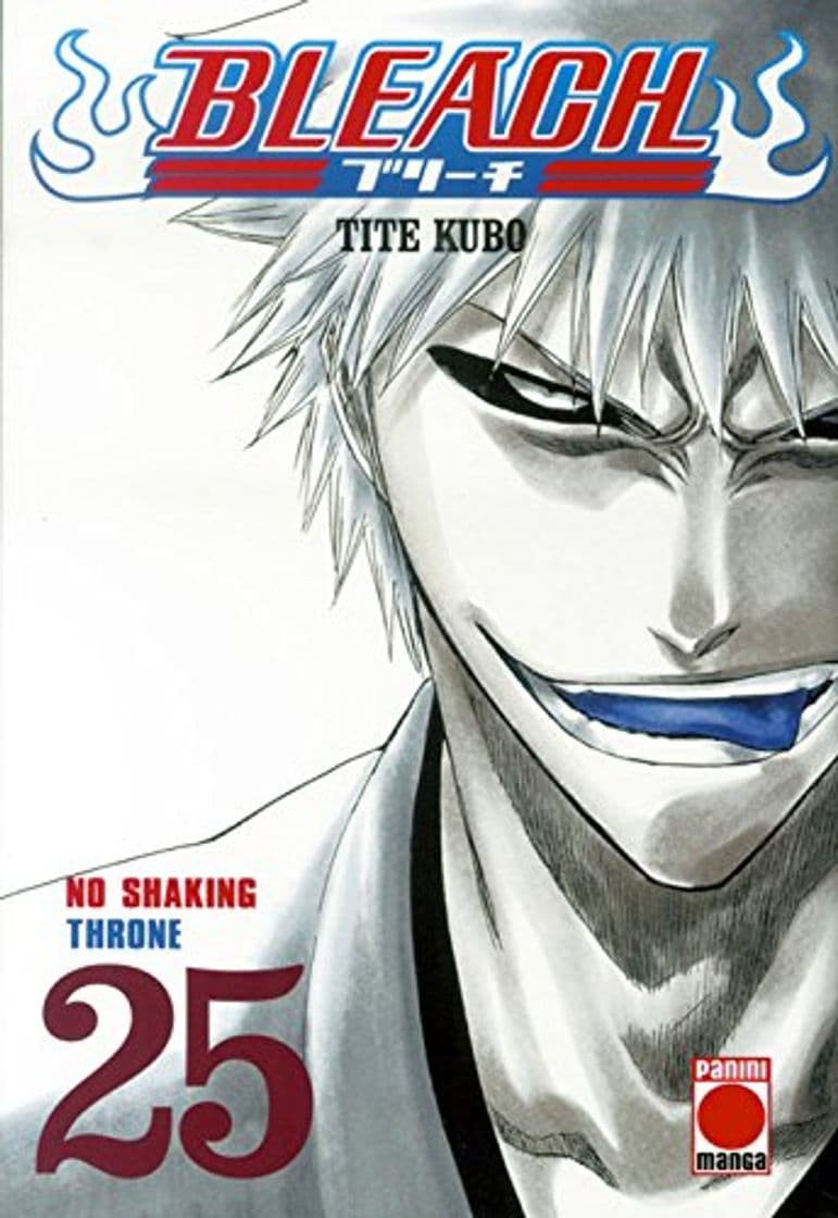 Book Bleach 25 (Shonen Manga Bleach)