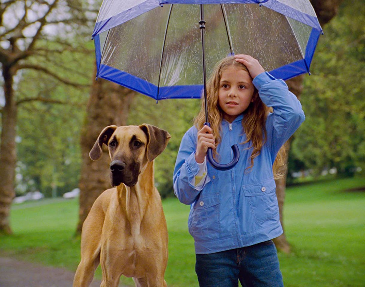 Película Chestnut: Hero of Central Park