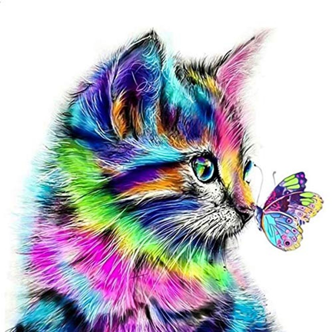 Producto HQdeal 30 * 30cm DIY 5D Diamante Pintura Kits, Gato y Mariposa