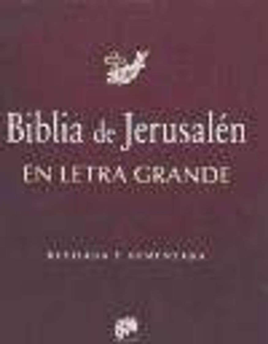 Libro Biblia De Jerusalen Letra Grande