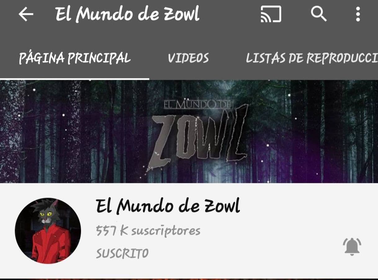 Fashion El Mundo de Zowl 