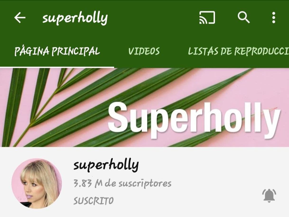 Moda superholly