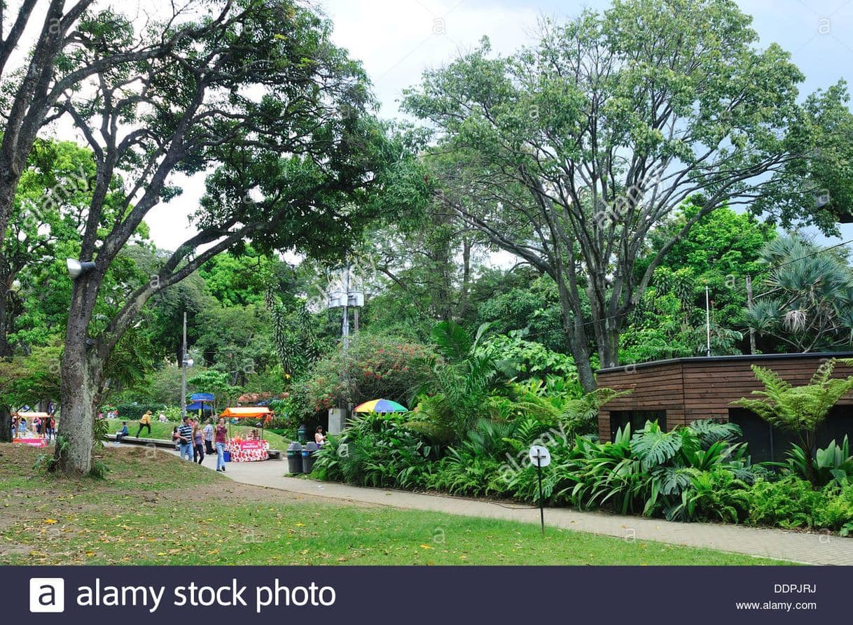 Lugar Jardín Botánico Joaquín Antonio Uribe