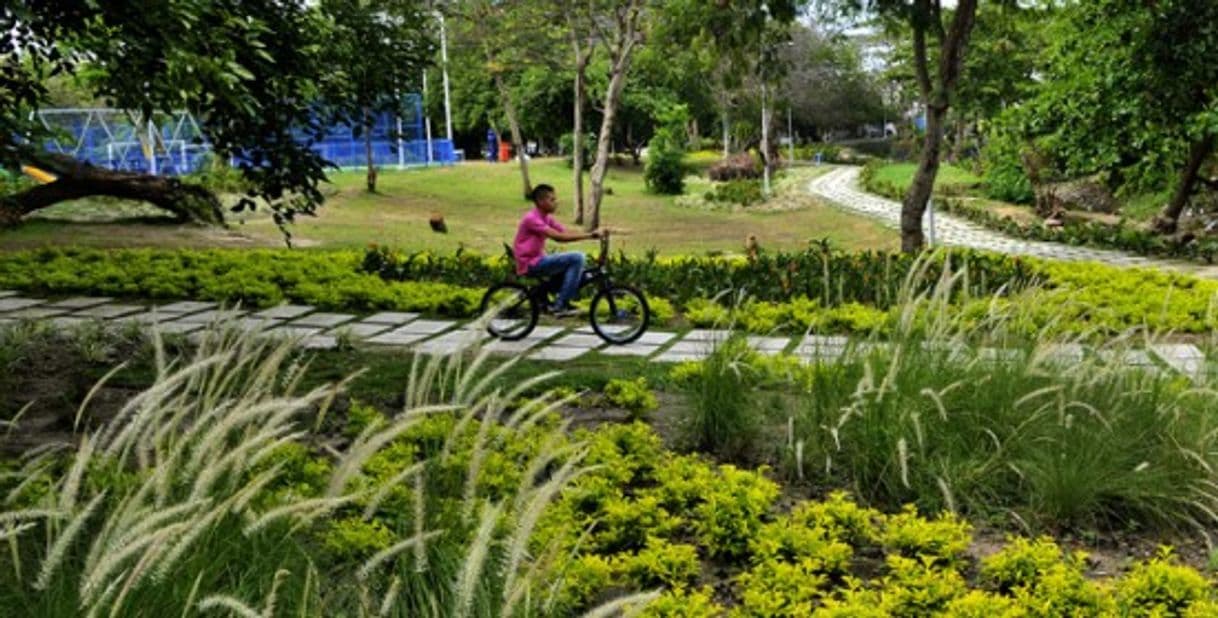 Lugar Jardín Botánico