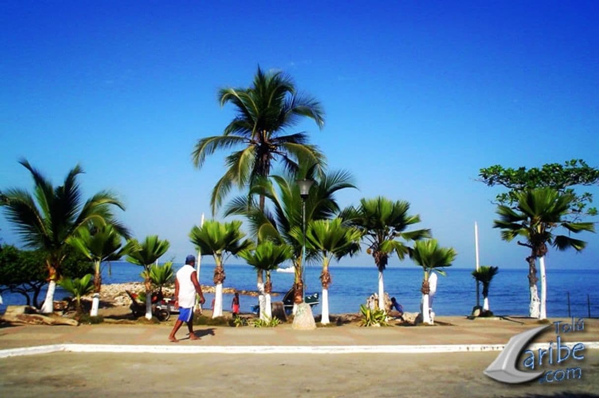 Place Santiago de Tolú