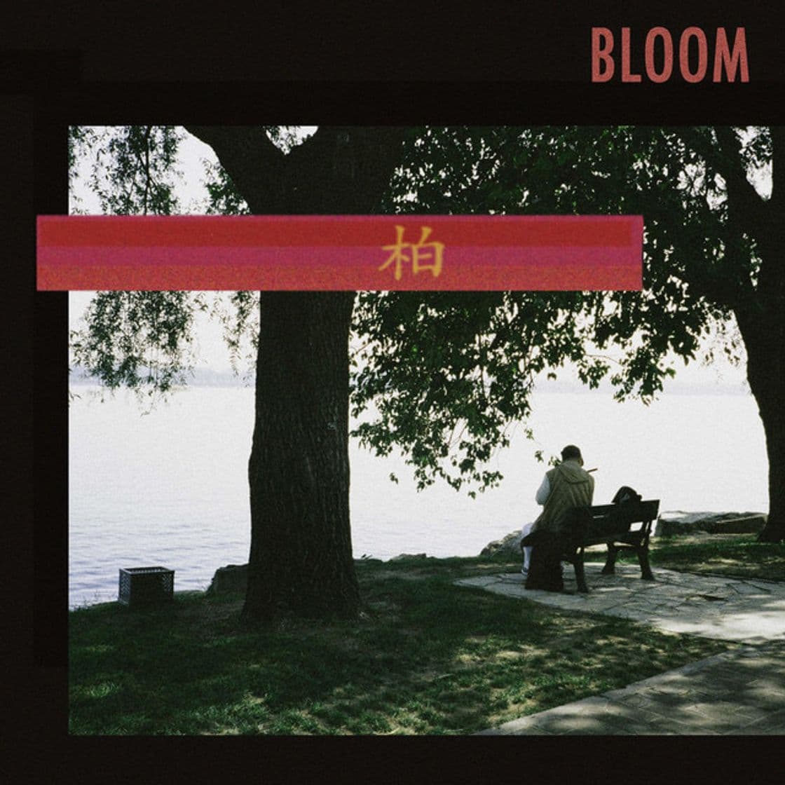 Canción Bloom