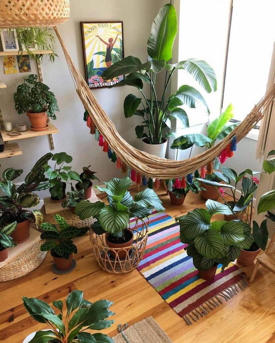 Fashion Decoração com plantas