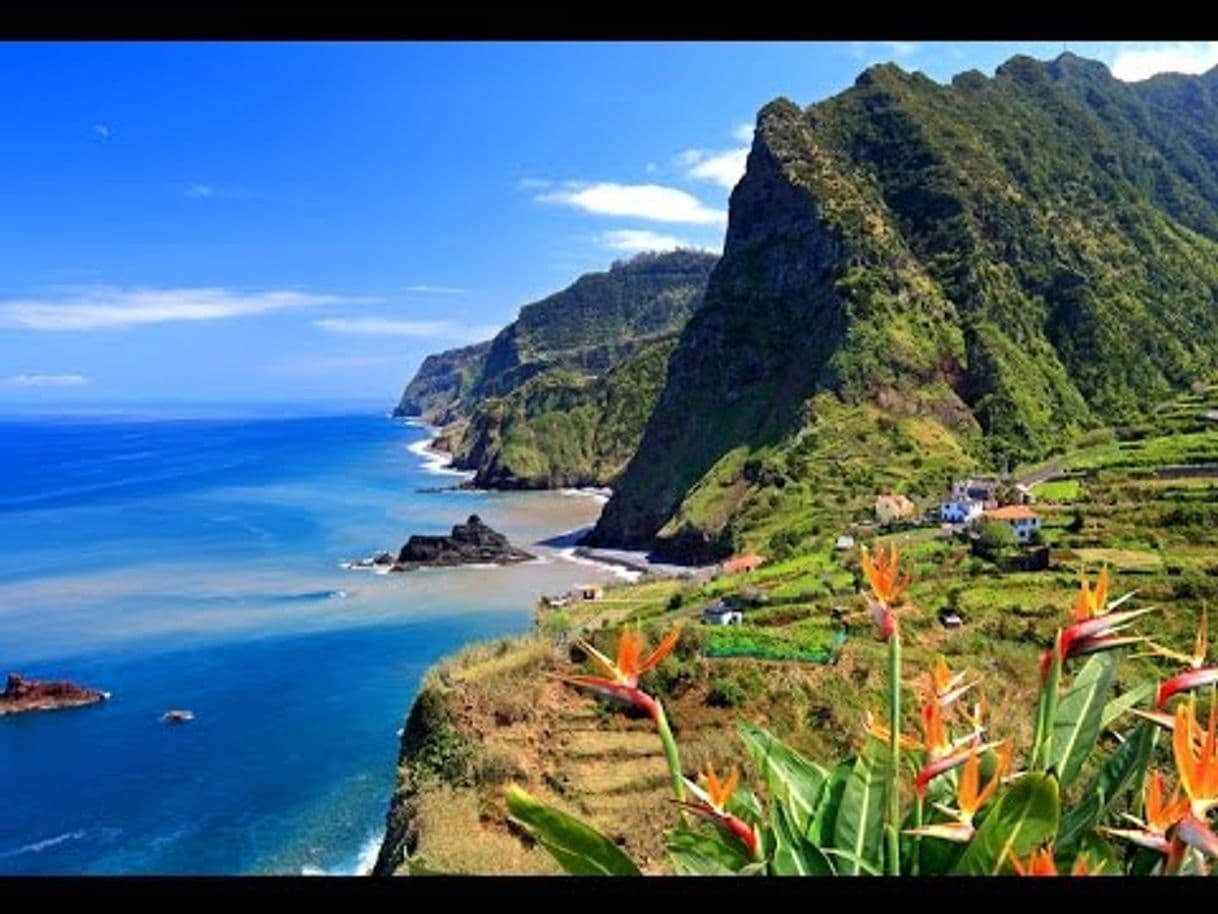 Place Madeira Islands