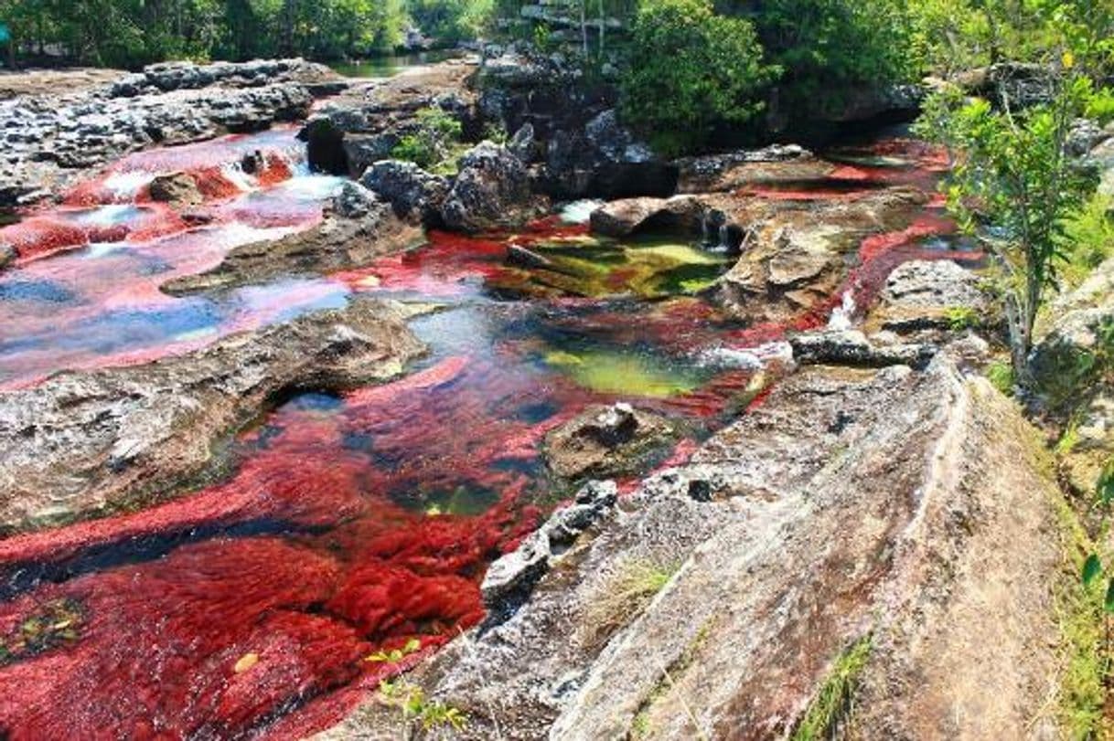 Lugar Caño Cristales