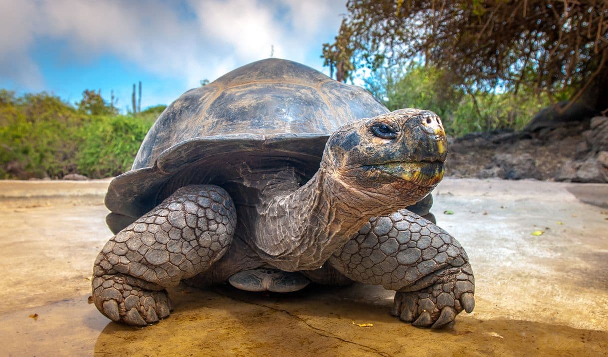 Lugar Galapagos