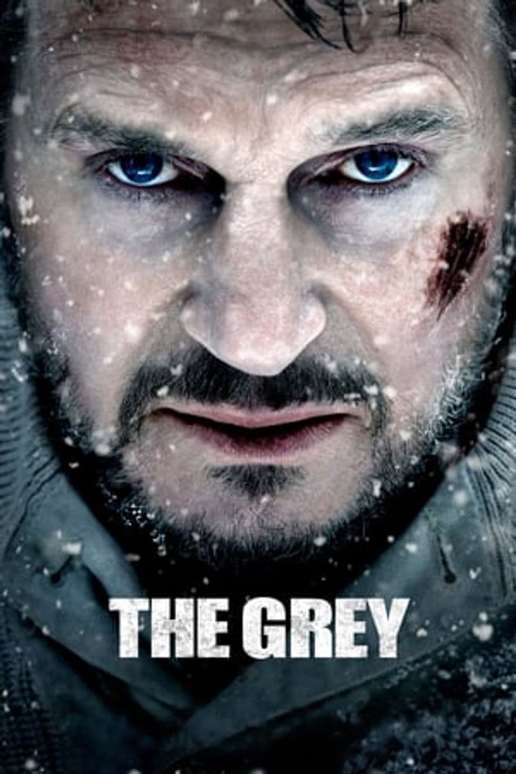 Película The Grey