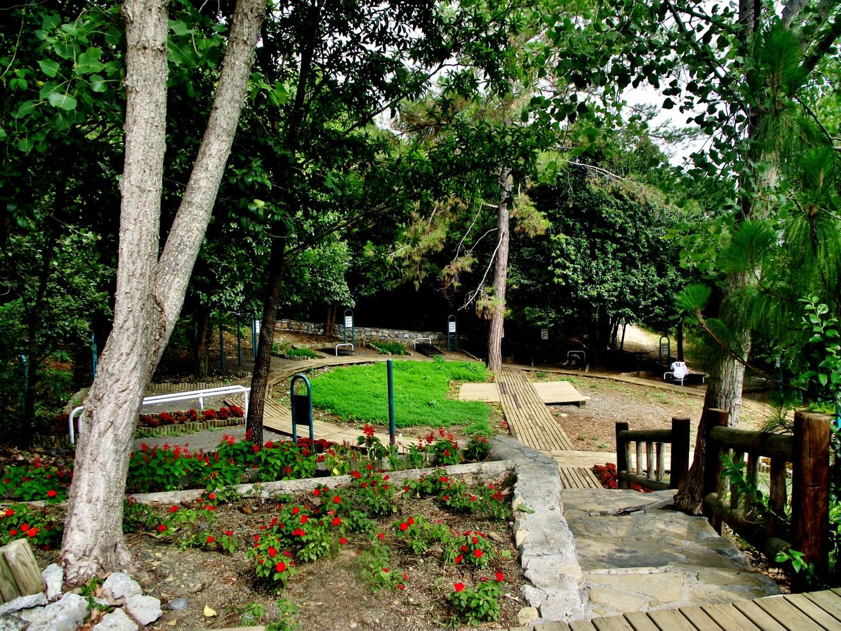 Place Parque Ecológico Chipinque