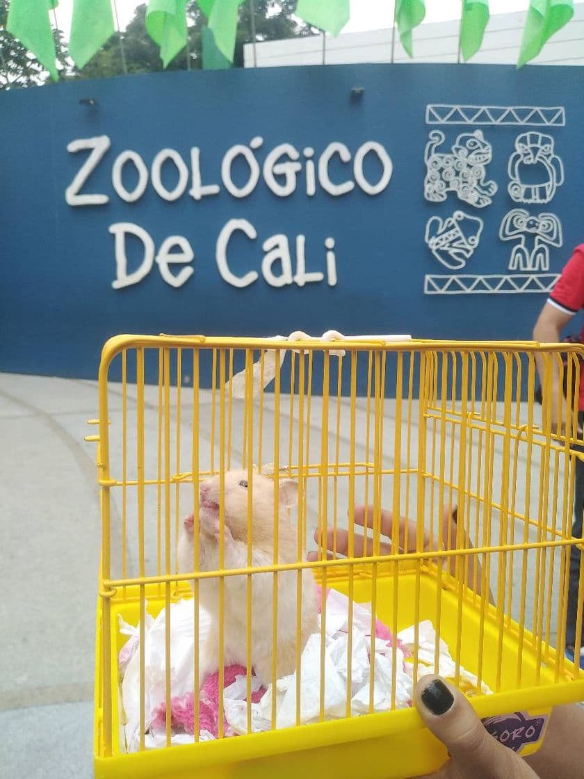 Lugar Zoológico de Cali