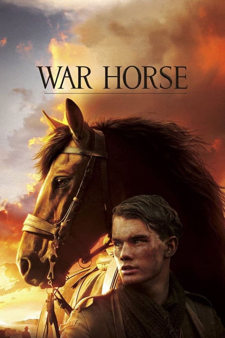 Película War Horse