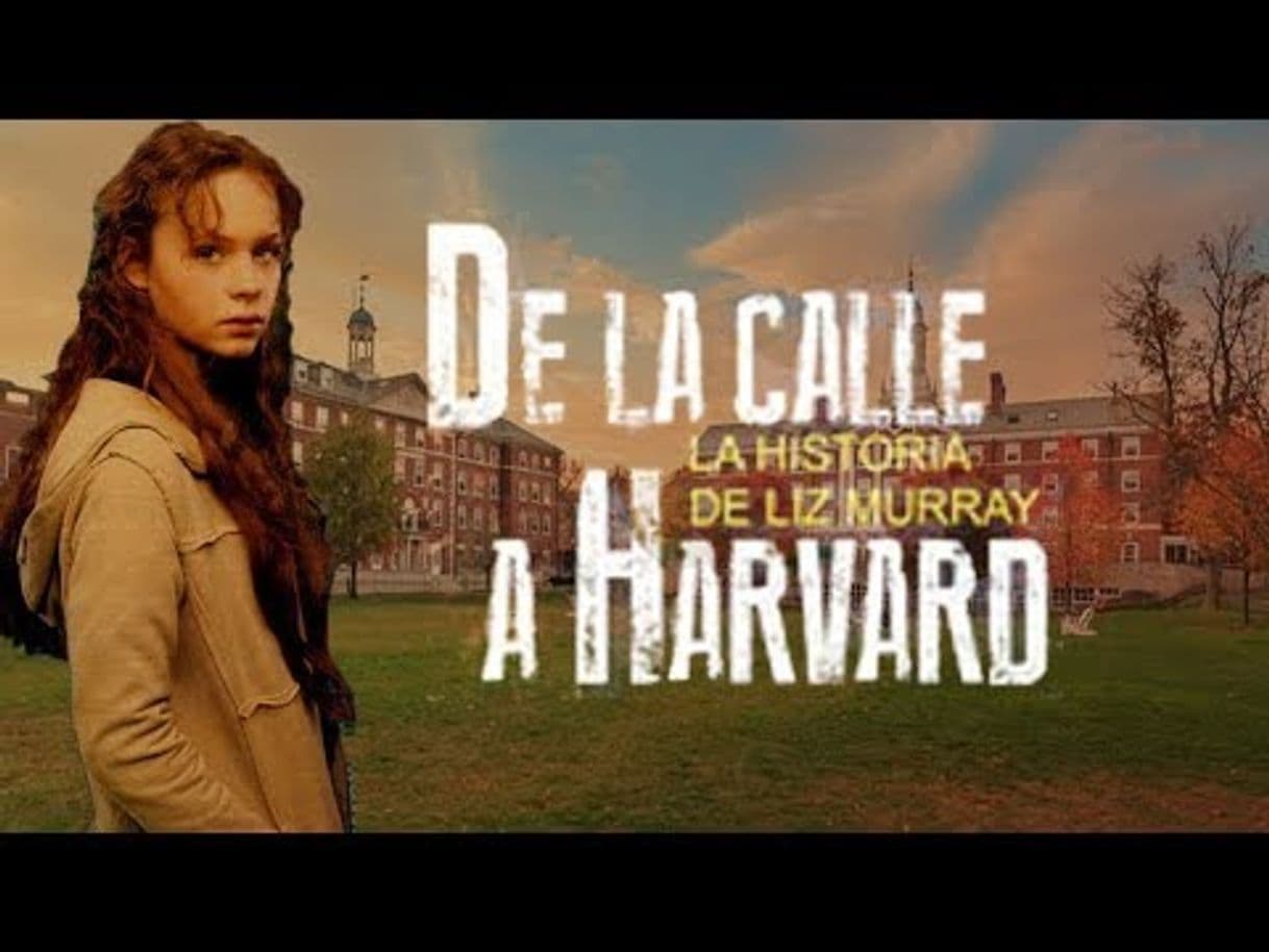 Fashion De la calle a Harvard