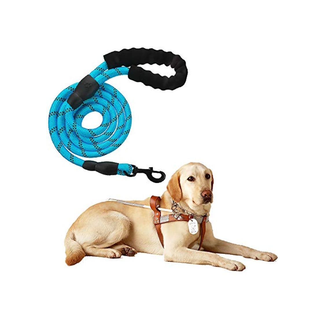 Product Litthing Correas para Perros Nylon con Mango Acolchado Ajustable Negro Sólido Reflectante