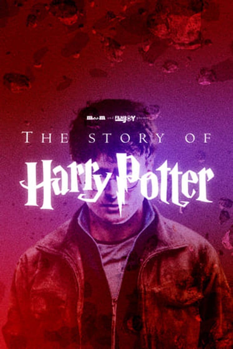 Movie The Story of Harry Potter