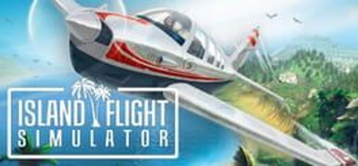 Videogames Island Flight Simulator