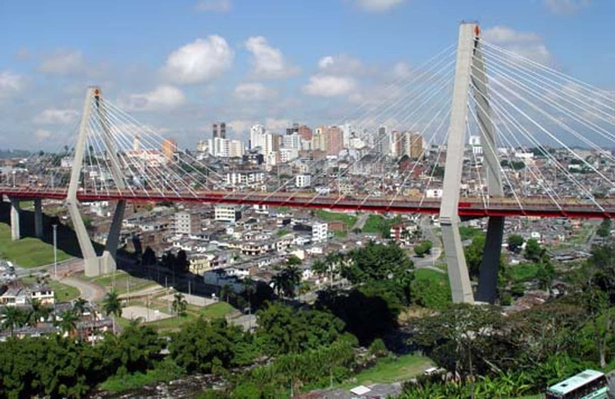 Lugar Pereira