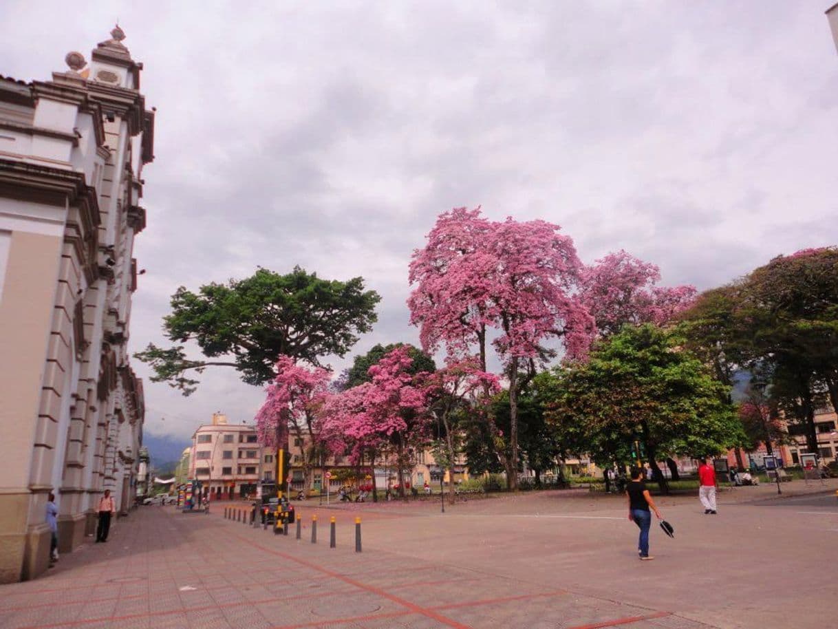 Lugar Ibagué