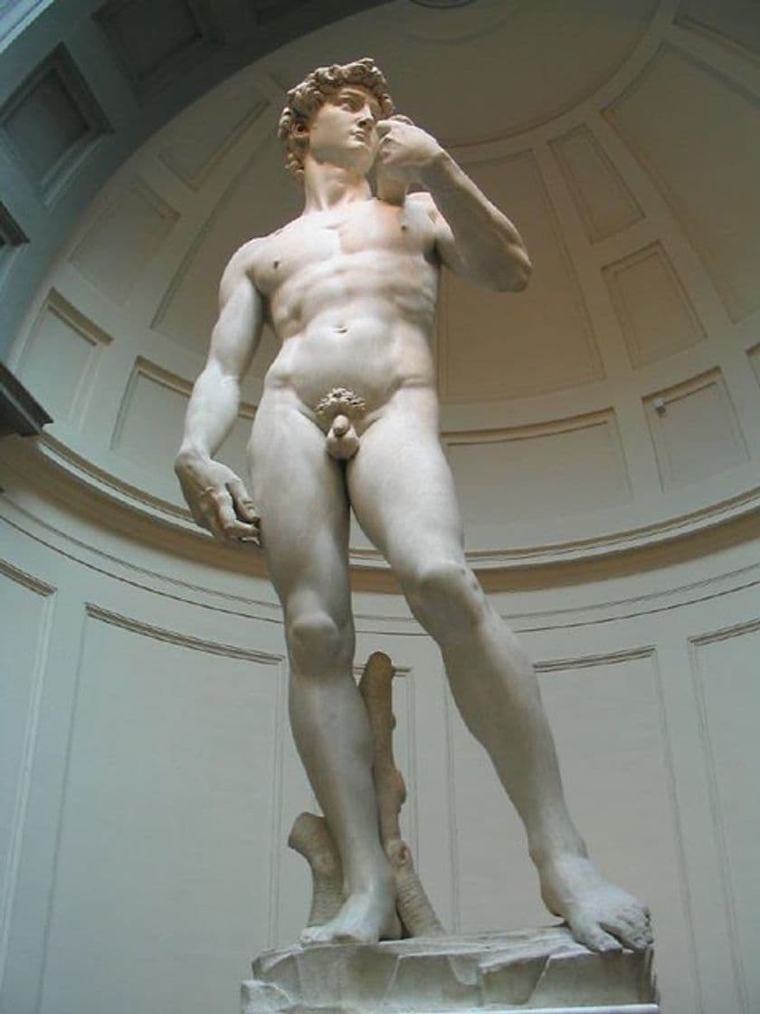 Lugar David of Michelangelo