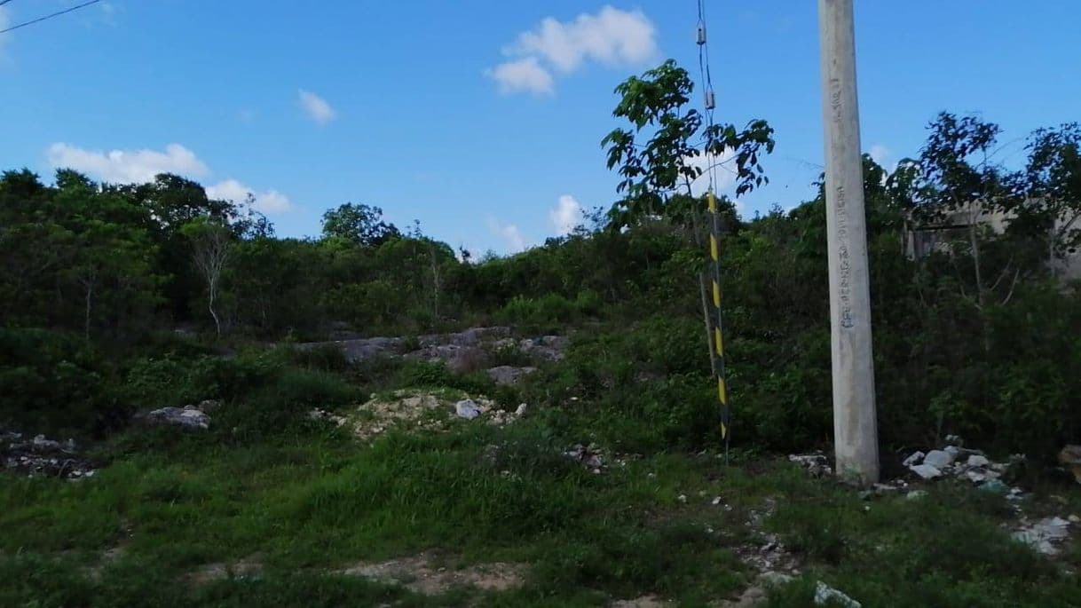 Lugar Isla Mujeres