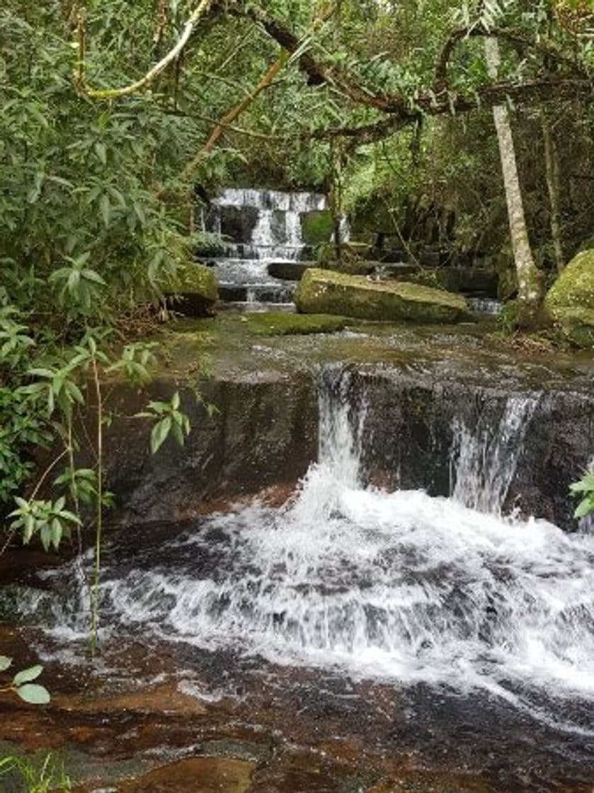 Place Parque Nacional Ybycuí