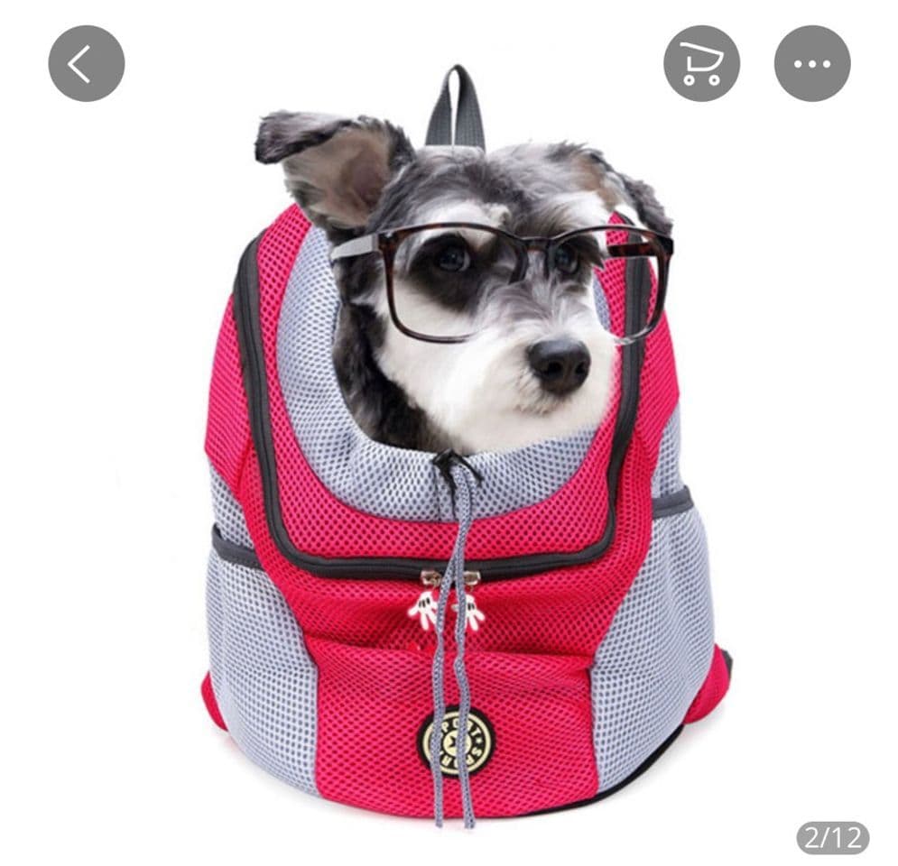 Fashion Pets 