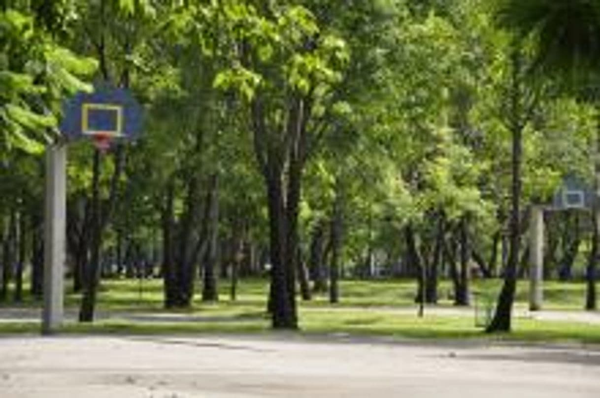 Place Parque de la Solidaridad