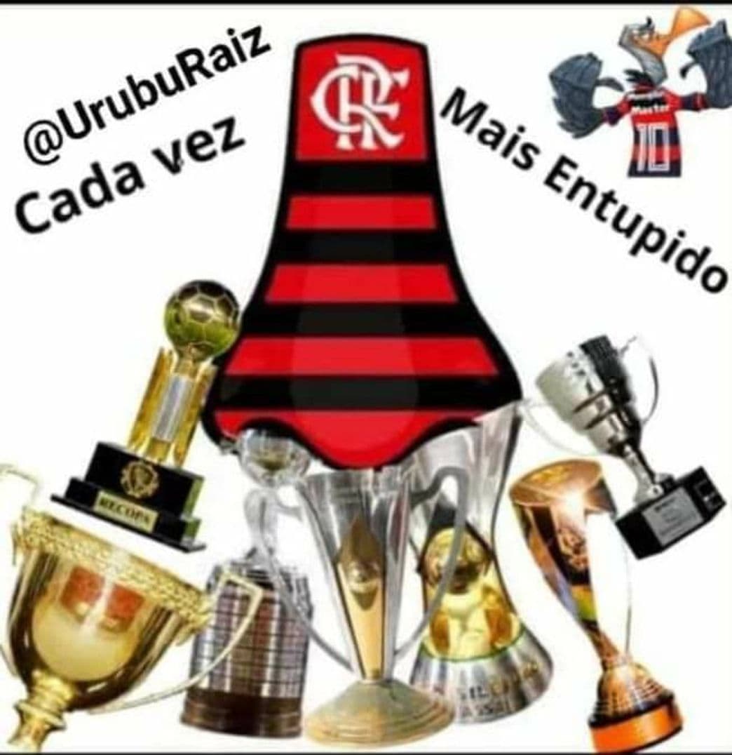 Serie Até o Fim: Flamengo Campeão da Libertadores