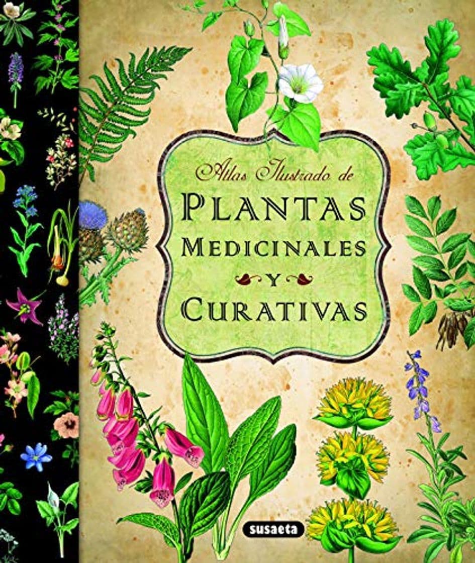 Libro Plantas Medicinales Y Curativas